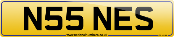 N55 NES