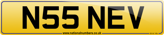 N55 NEV