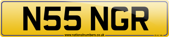 N55 NGR