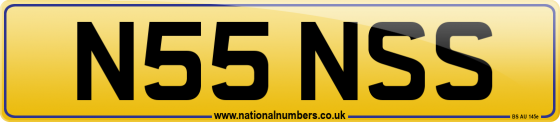 N55 NSS