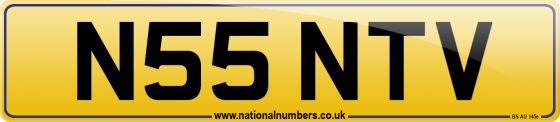 N55 NTV