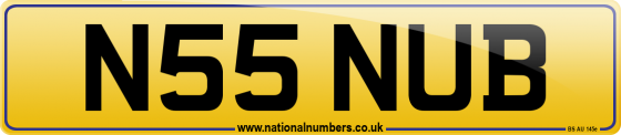 N55 NUB