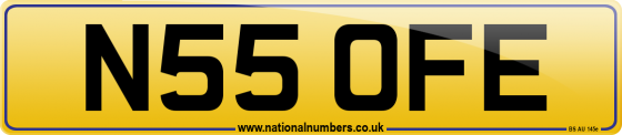 N55 OFE
