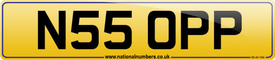 N55 OPP