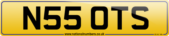 N55 OTS