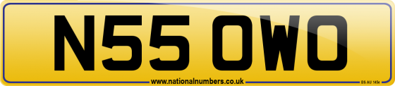 N55 OWO