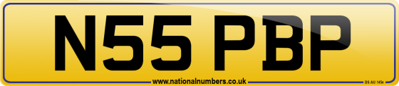 N55 PBP