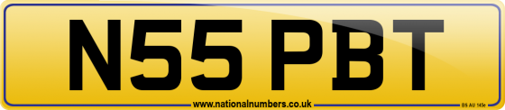 N55 PBT