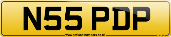 N55 PDP