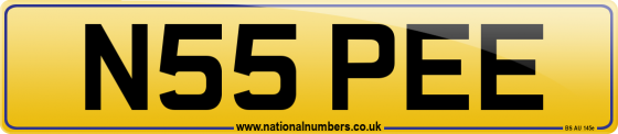 N55 PEE