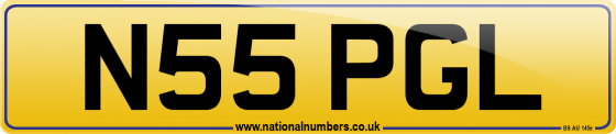 N55 PGL