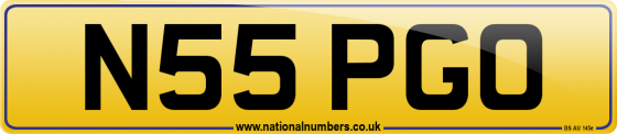 N55 PGO