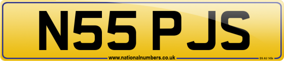 N55 PJS