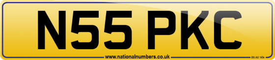 N55 PKC