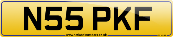 N55 PKF