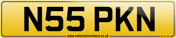 N55 PKN