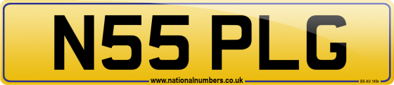 N55 PLG