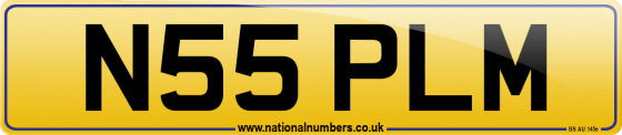 N55 PLM