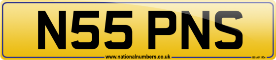 N55 PNS