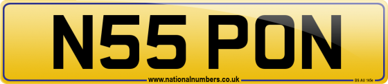 N55 PON