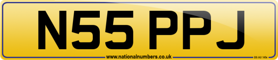 N55 PPJ
