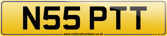N55 PTT