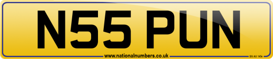 N55 PUN