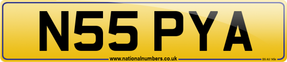 N55 PYA