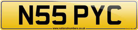 N55 PYC