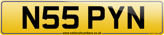 N55 PYN