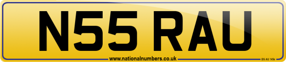 N55 RAU