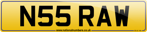 N55 RAW