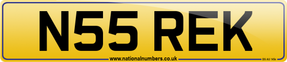 N55 REK