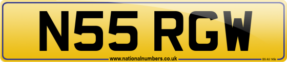 N55 RGW