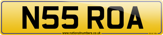 N55 ROA
