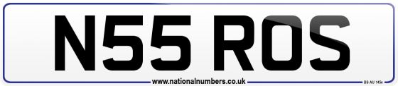 N55 ROS