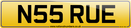 N55 RUE