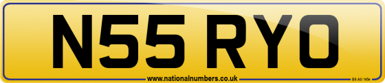 N55 RYO