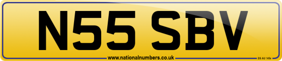 N55 SBV