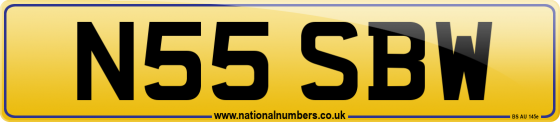 N55 SBW