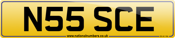 N55 SCE