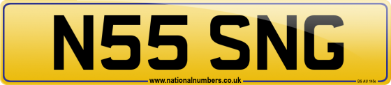 N55 SNG