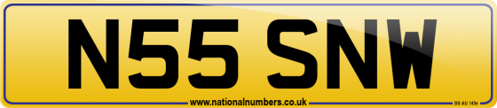 N55 SNW