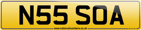 N55 SOA