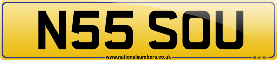 N55 SOU