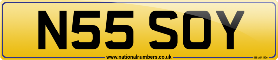 N55 SOY