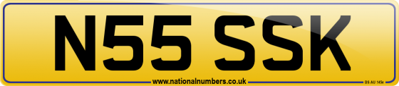 N55 SSK