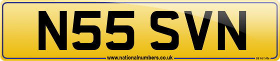 N55 SVN