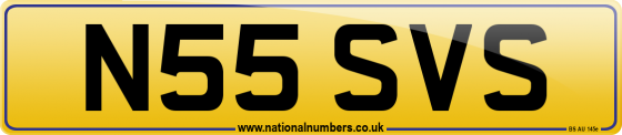 N55 SVS