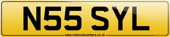 N55 SYL